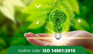 AUDITOR LÍDER ISO 14001:2015 Sistema de Gestión Ambiental​